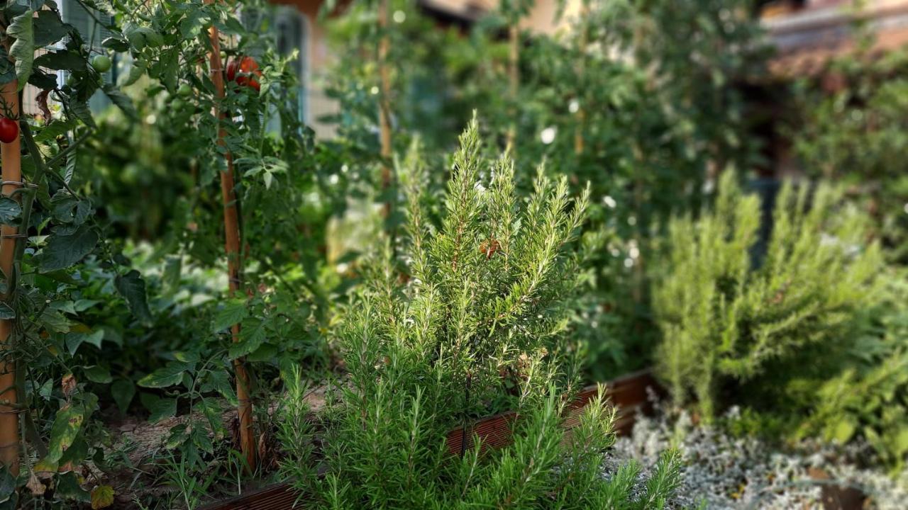 Ai Tre Cavalli Bed & Breakfast Cherasco